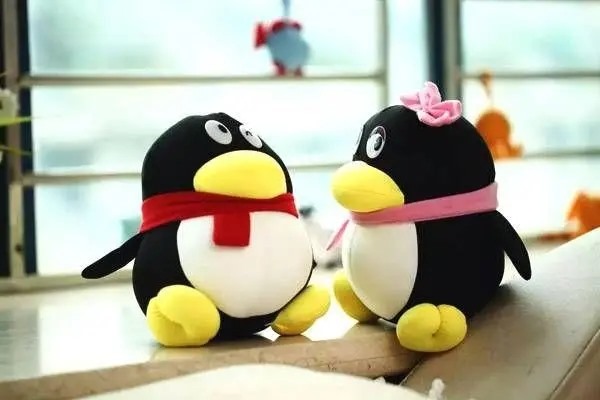 在转转交易上买七位qq被骗了，有他手机号，他告诉我的账号密码是真的，就是需要他手机验证码?